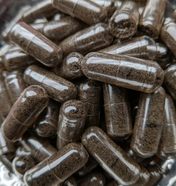 50 plus – btonic.md